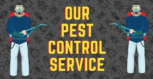Ace Pest Control Service