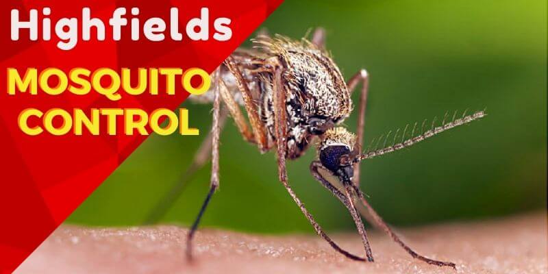 Mosquito control Highfields