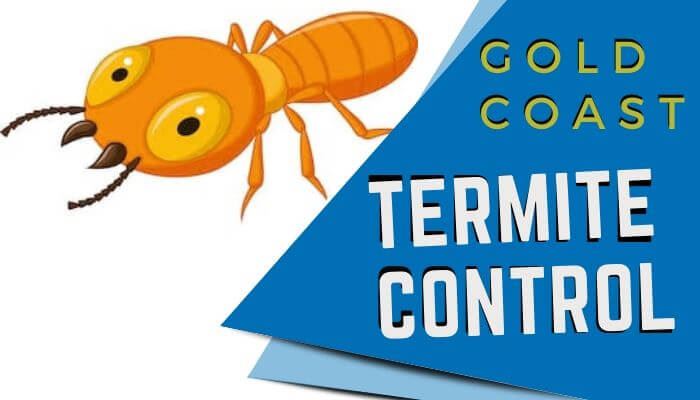 termtie control gold coast