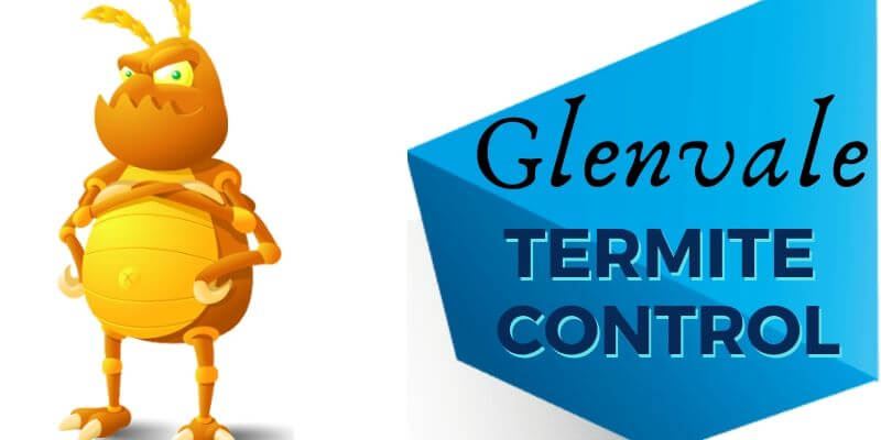 Termite control Glenvale