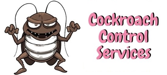 Cockroach Control Tugun
