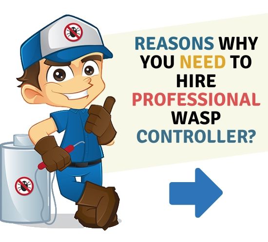Professional Pest Controllers