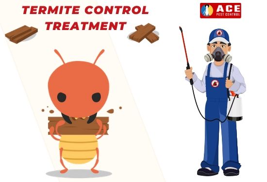 Professional Extermination of Termites