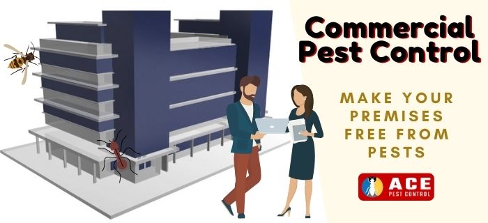 commercial pest control
