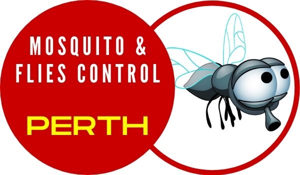 Flies & Mosquitoes Control Perth