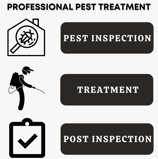 pest inspection & treatment