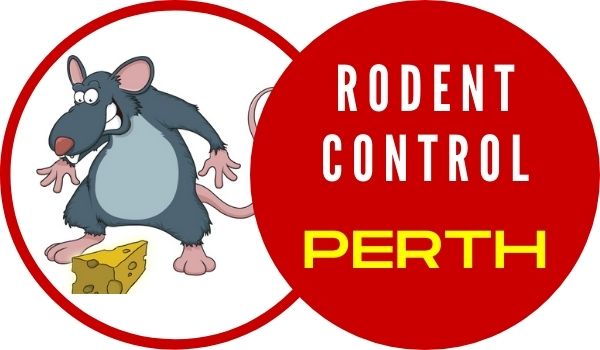 rodent control Perth